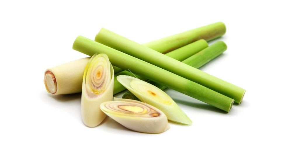 daun Serai